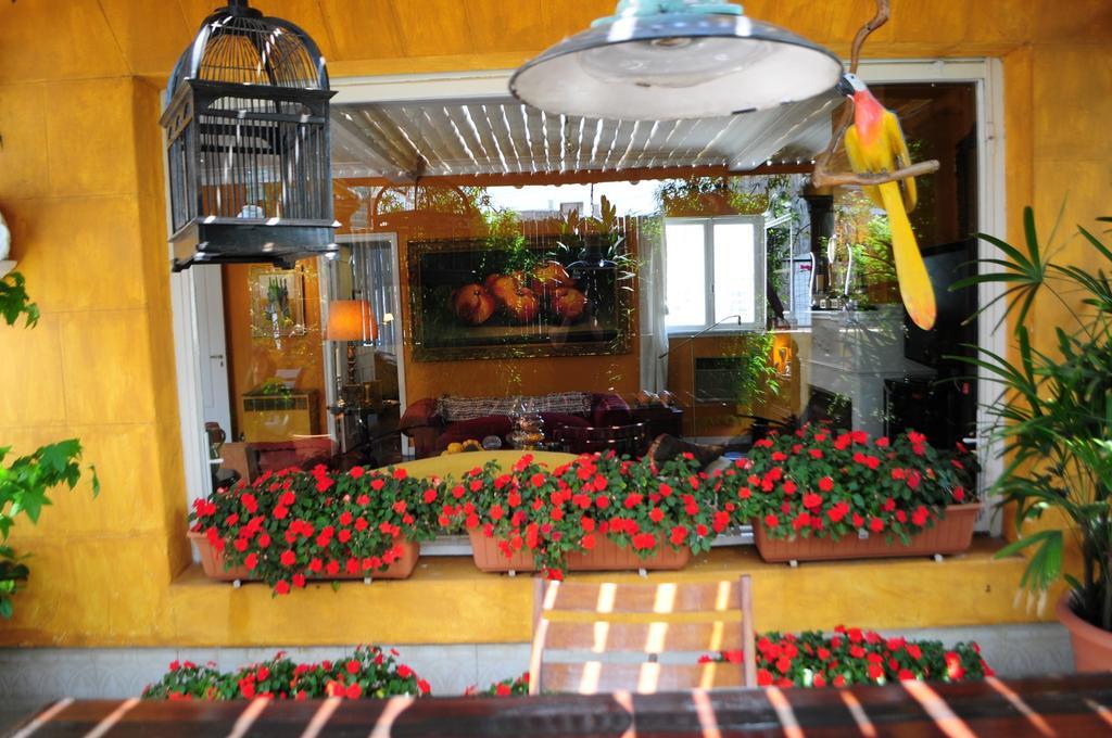 Bed and Breakfast Optimus Ba Буэнос-Айрес Номер фото